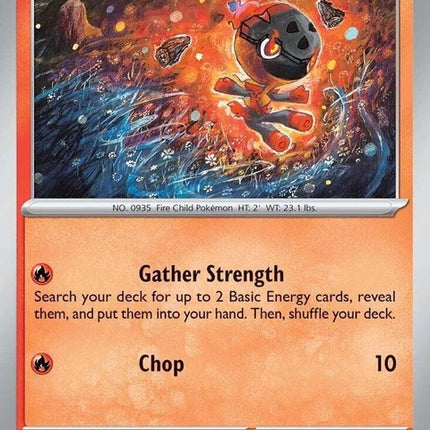 19-charcadet