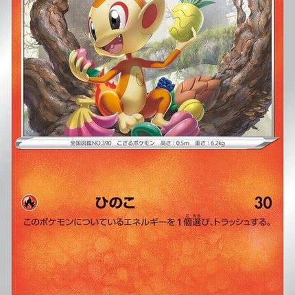 19-chimchar