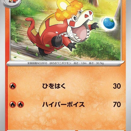 19-crocalor