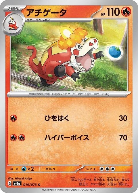 19-crocalor