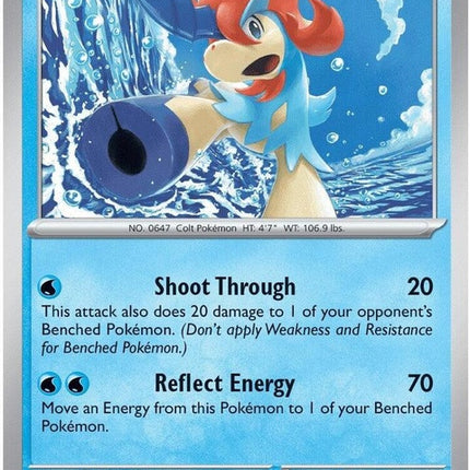 19-keldeo