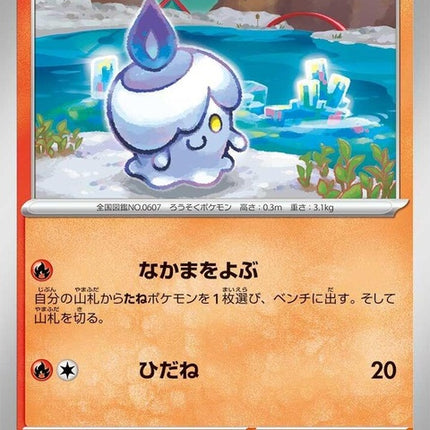 19-litwick