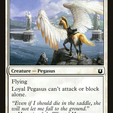 19-loyalpegasus