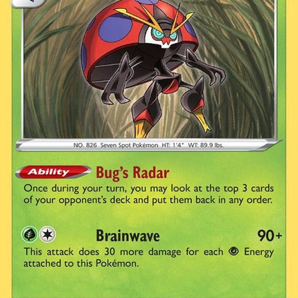 19-orbeetle