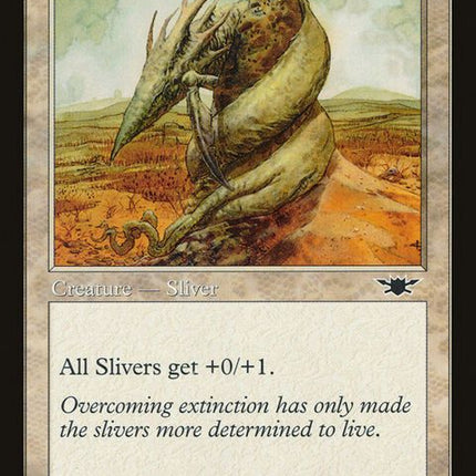 19-platedsliver