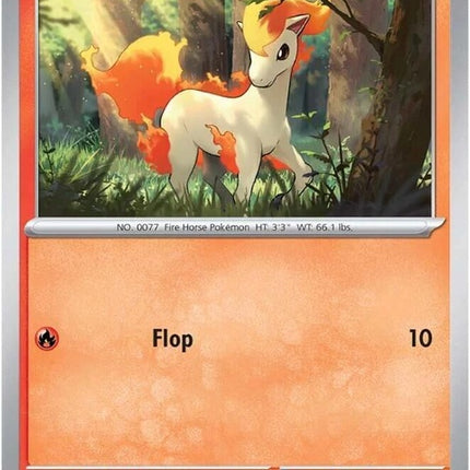 19-ponyta