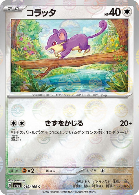 19-rattata-pokeballpattern