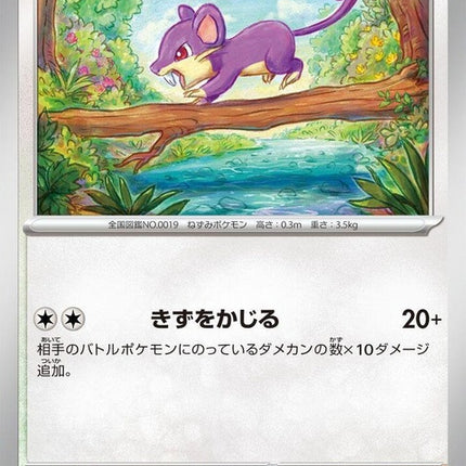 19-rattata