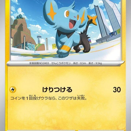 19-shinx