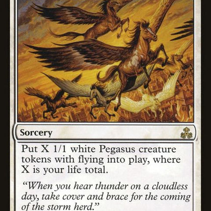 19-stormherd