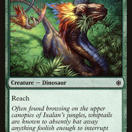 190-grazingwhiptail