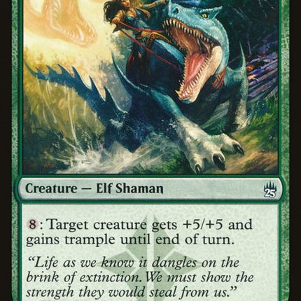 194-wildheartinvoker