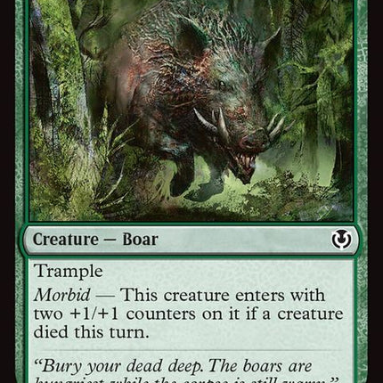 196-festerhideboar
