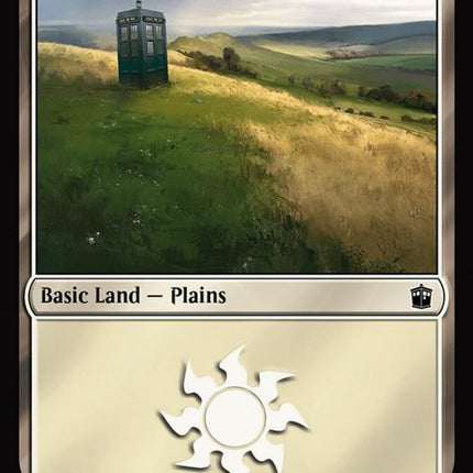 196-plains