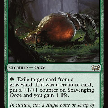 196-scavengingooze