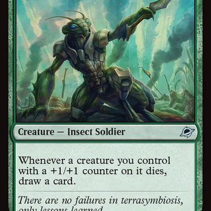 197-meltstridereulogist