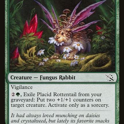 199-placidrottentail