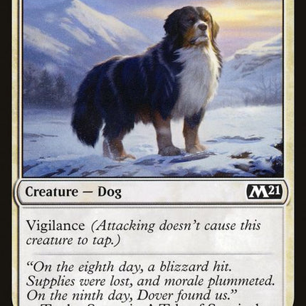 2-alpinewatchdog