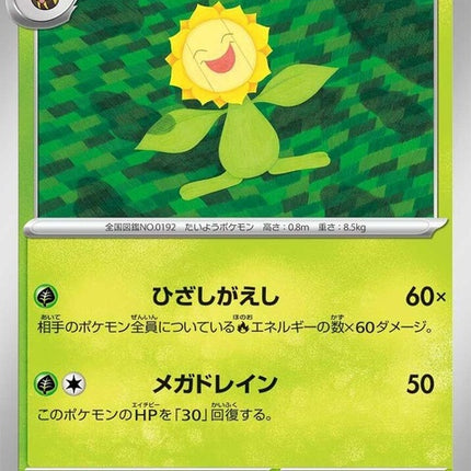 2-sunflora