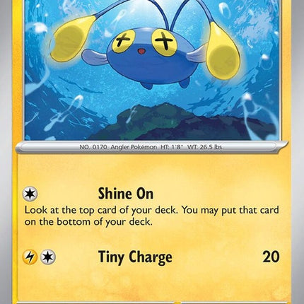 20-chinchou