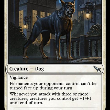 20-karlovwatchdog