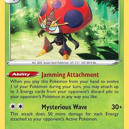 20-orbeetle