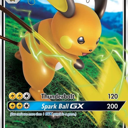 20-raichugx