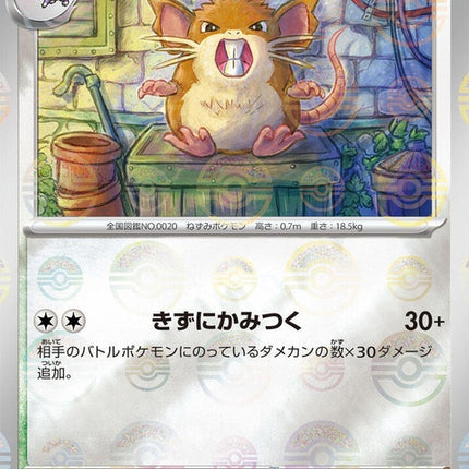 20-raticate-pokeballpattern