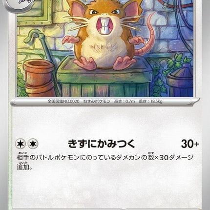 20-raticate