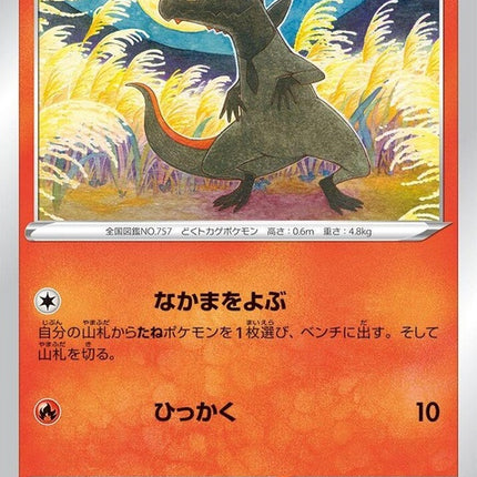 20-salandit