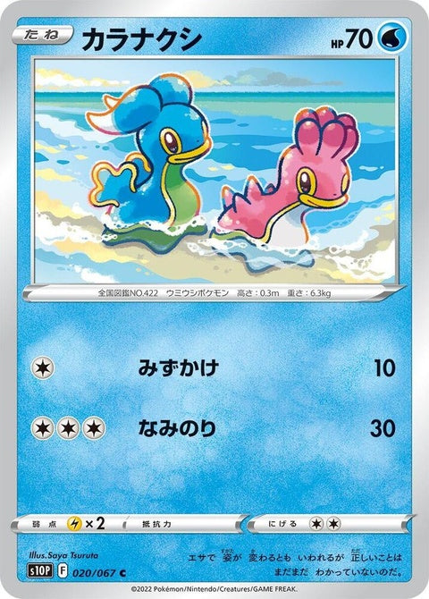 20-shellos