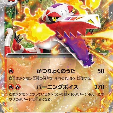 20-skeledirgeex