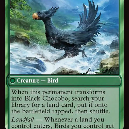 201-sidequestraiseachocoboblackchocobo