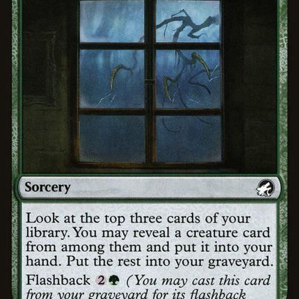 201-tappingatthewindow