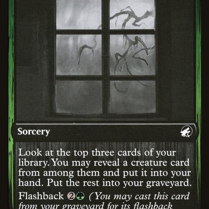 201-tappingatthewindow