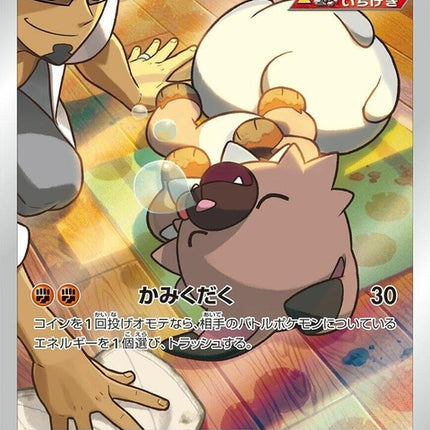 202-rockruff