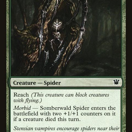202-somberwaldspider