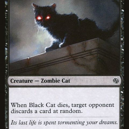 203-blackcat