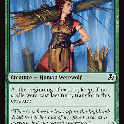 203-hinterlandloggertimbershredder
