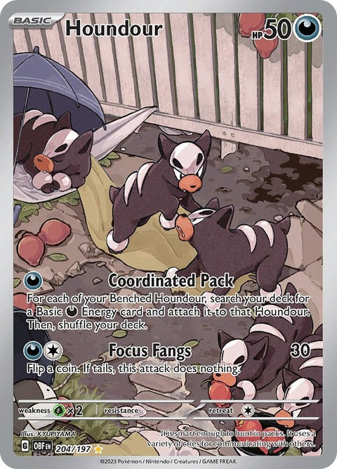 204-houndour