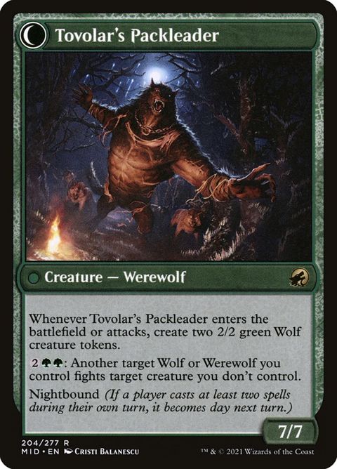 204-tovolarshuntmastertovolarspackleader