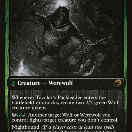 204-tovolarshuntmastertovolarspackleader