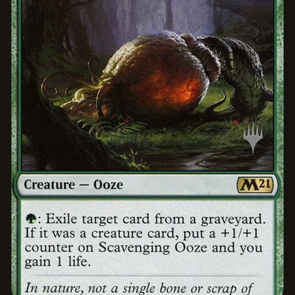 204p-scavengingooze