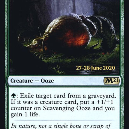 204s-scavengingooze
