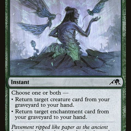 205-seasonofrenewal