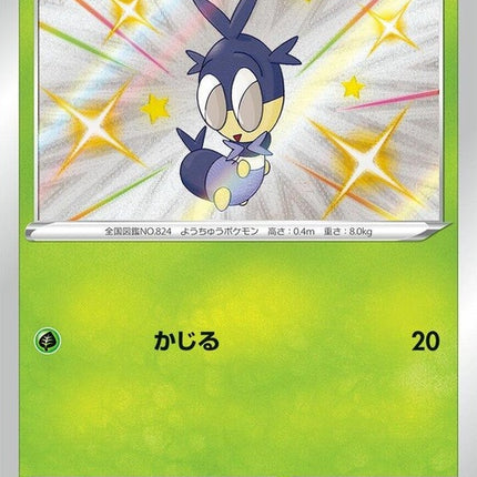 206-blipbug