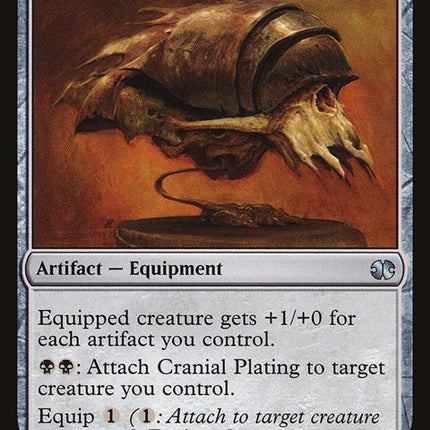 206-cranialplating