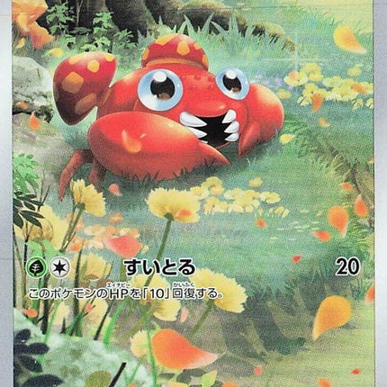 207-paras