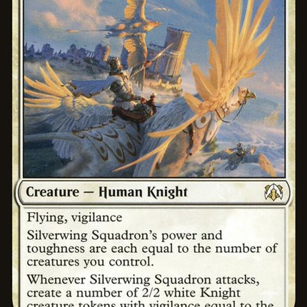 207-silverwingsquadron