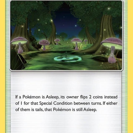 207-slumberingforest